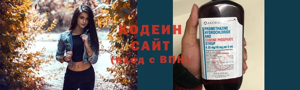 хмурый Вяземский